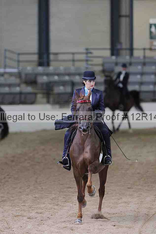 Proof Number 12r14_0505