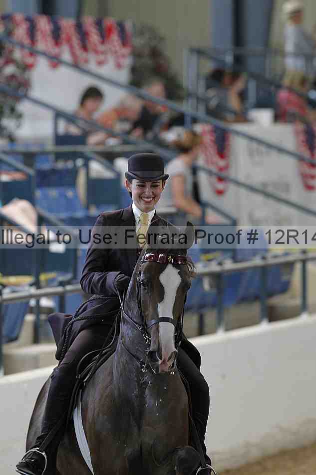 Proof Number 12r14_0508