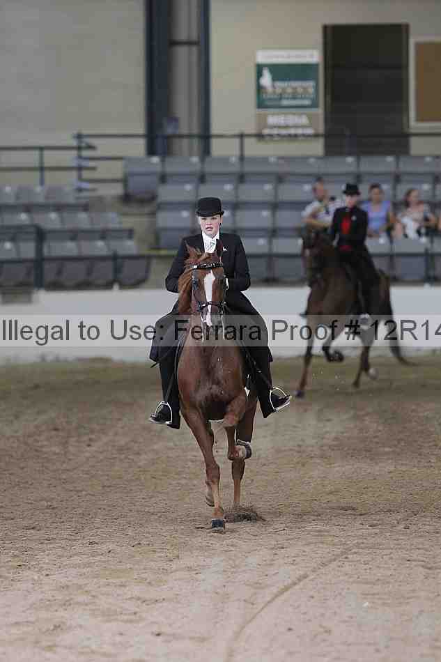 Proof Number 12r14_0511