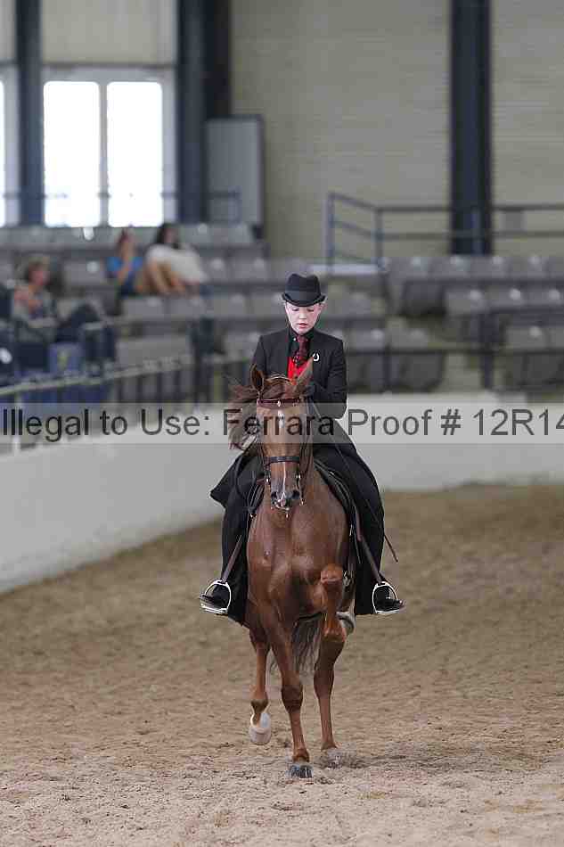 Proof Number 12r14_0512