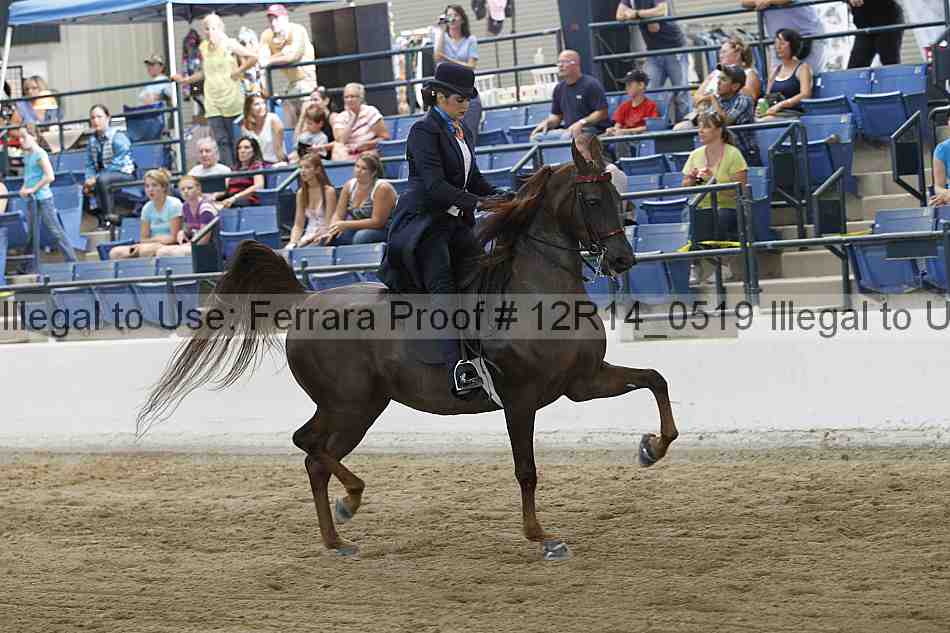 Proof Number 12r14_0519