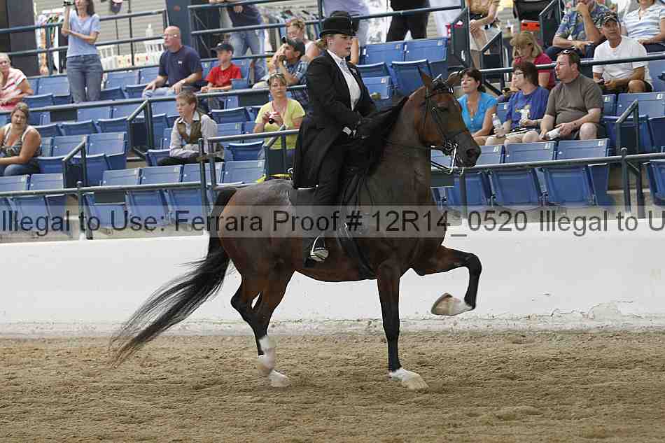 Proof Number 12r14_0520