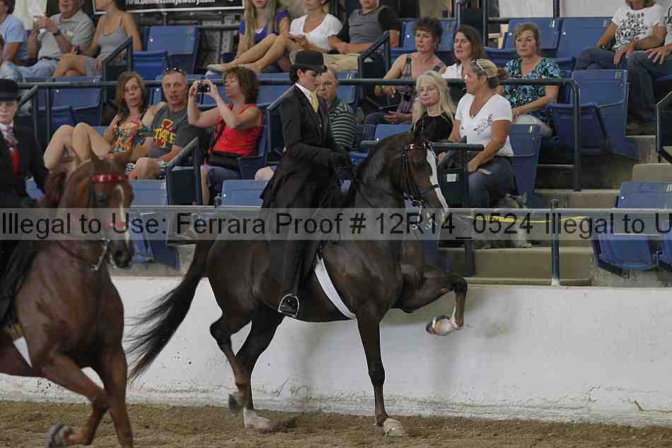 Proof Number 12r14_0524
