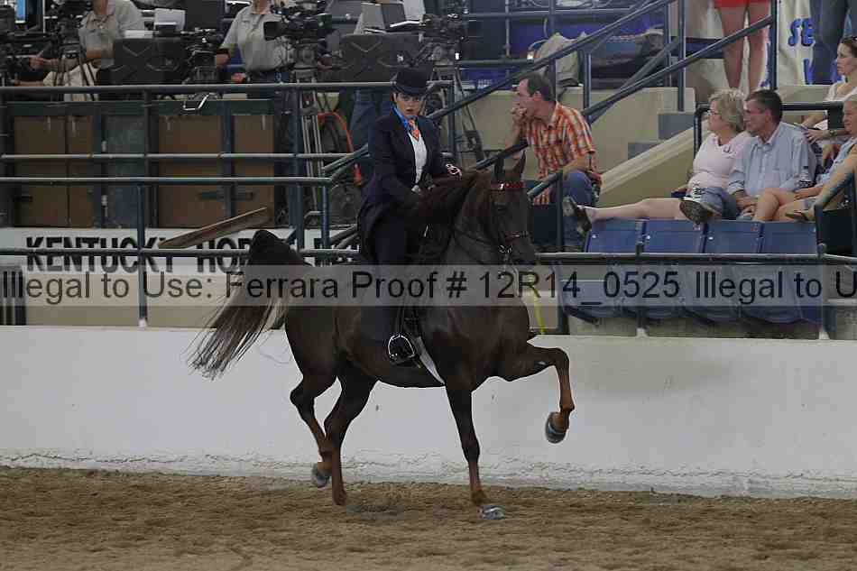 Proof Number 12r14_0525