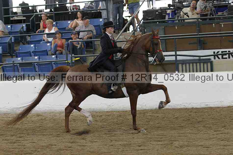 Proof Number 12r14_0532