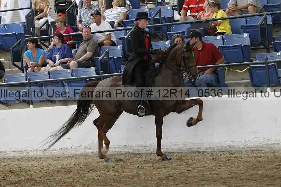 Proof Number 12r14_0536