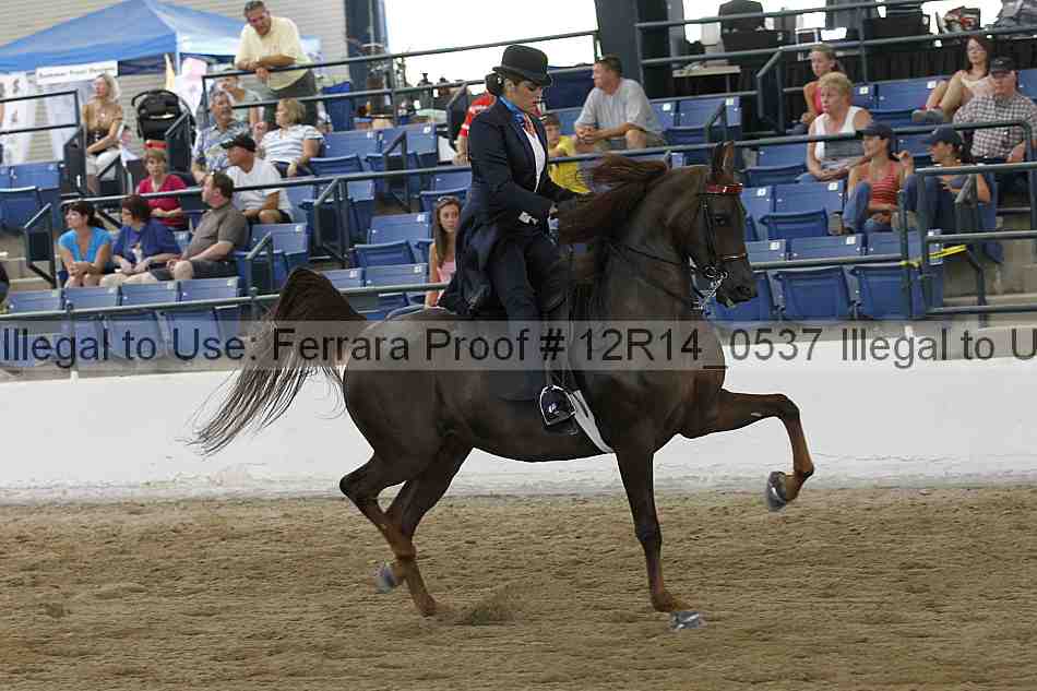 Proof Number 12r14_0537