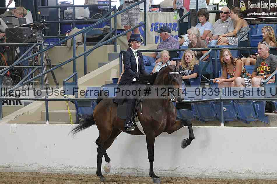 Proof Number 12r14_0539