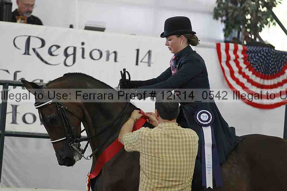 Proof Number 12r14_0542