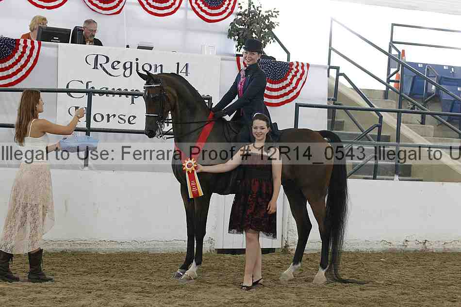 Proof Number 12r14_0543