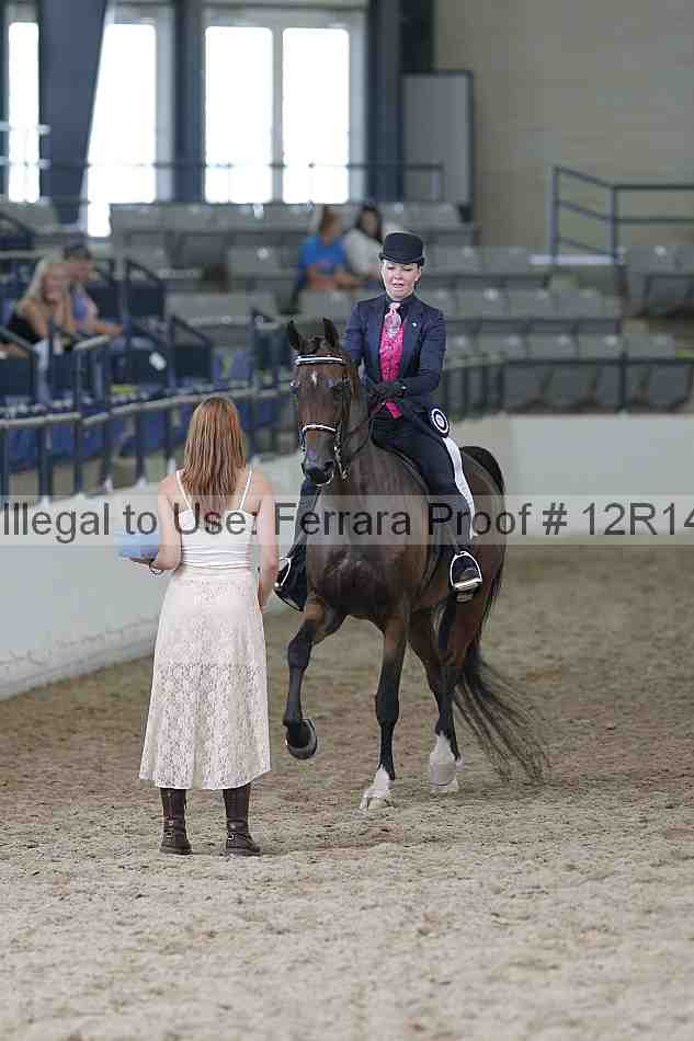 Proof Number 12r14_0545