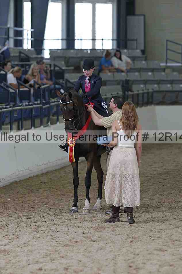 Proof Number 12r14_0546