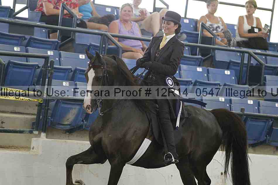 Proof Number 12r14_0547