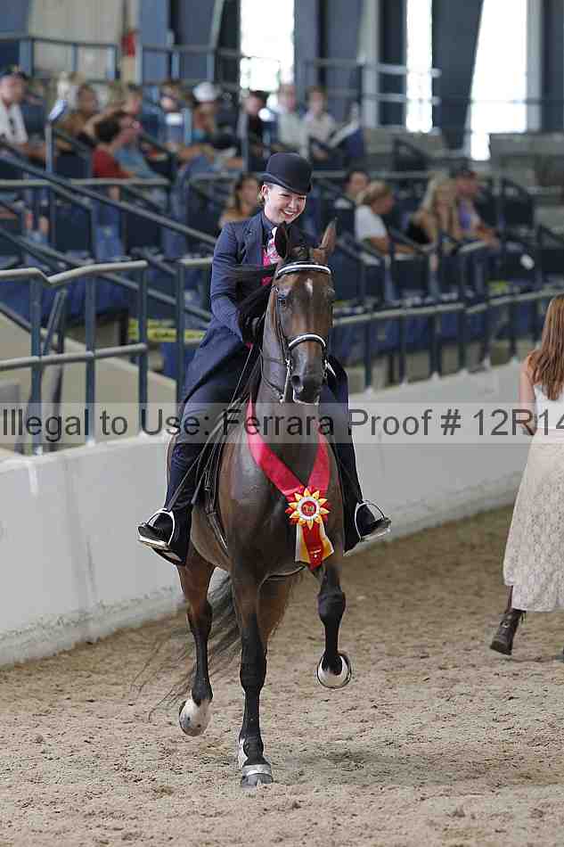 Proof Number 12r14_0551
