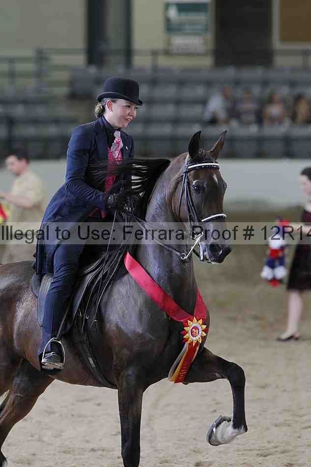 Proof Number 12r14_0553