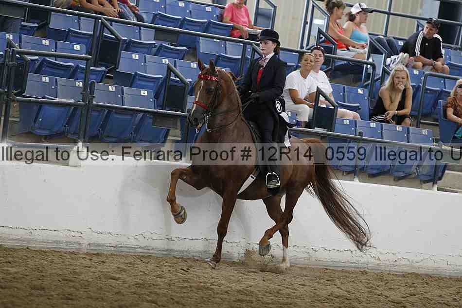 Proof Number 12r14_0559