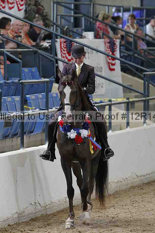 Proof Number 12r14_0562