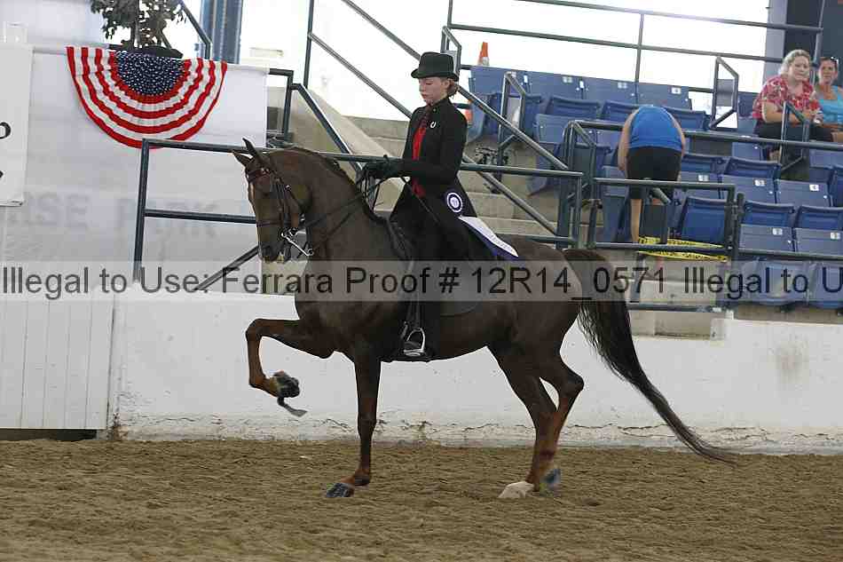 Proof Number 12r14_0571
