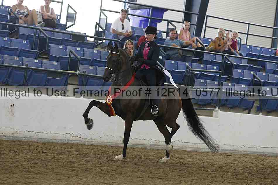 Proof Number 12r14_0577