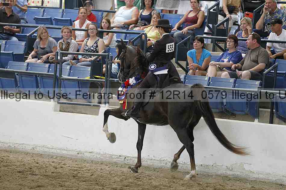 Proof Number 12r14_0579