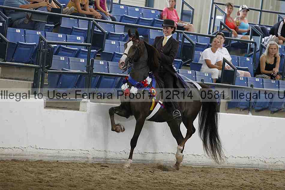 Proof Number 12r14_0581