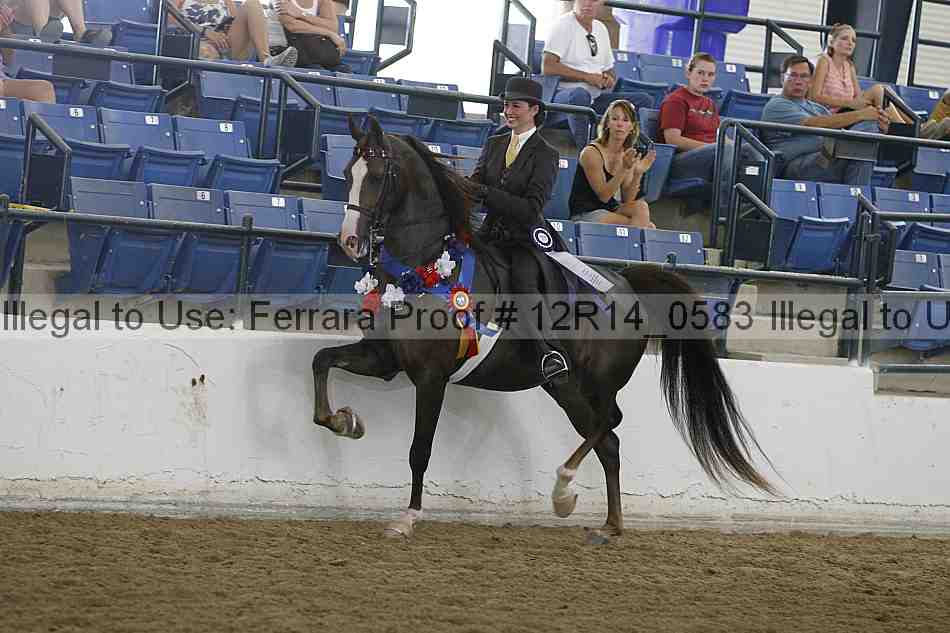 Proof Number 12r14_0583