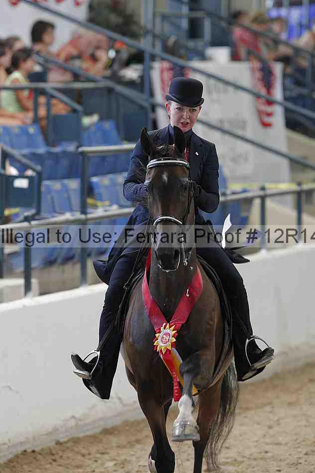 Proof Number 12r14_0590
