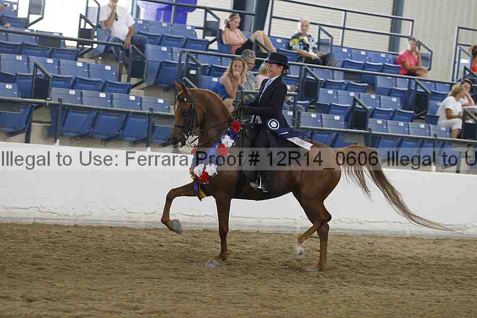 Proof Number 12r14_0606