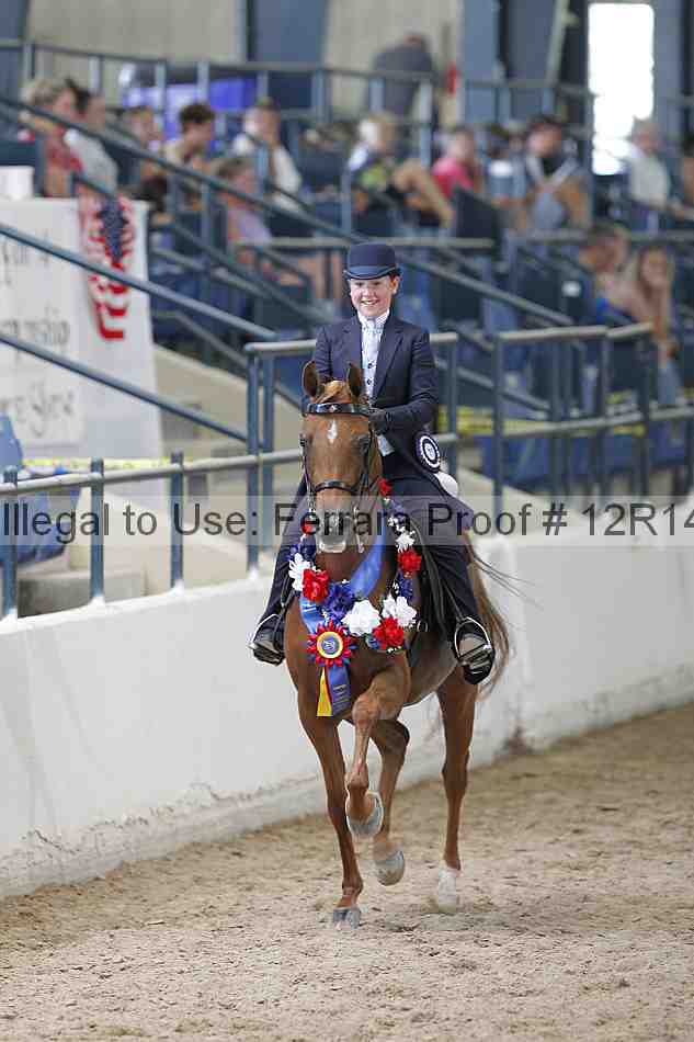 Proof Number 12r14_0610