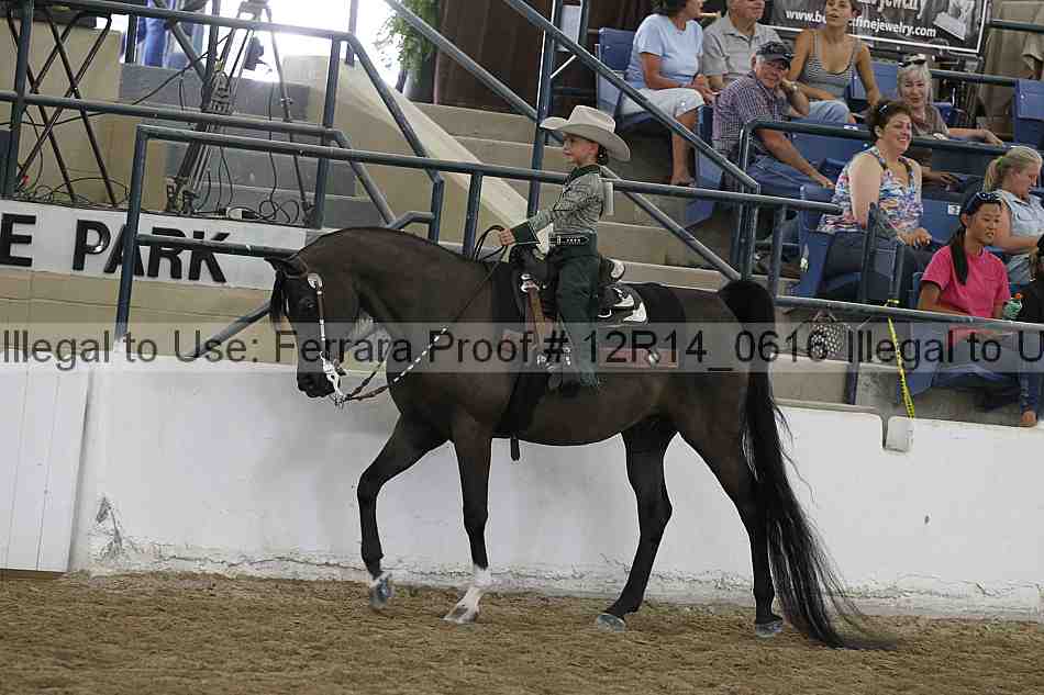 Proof Number 12r14_0616