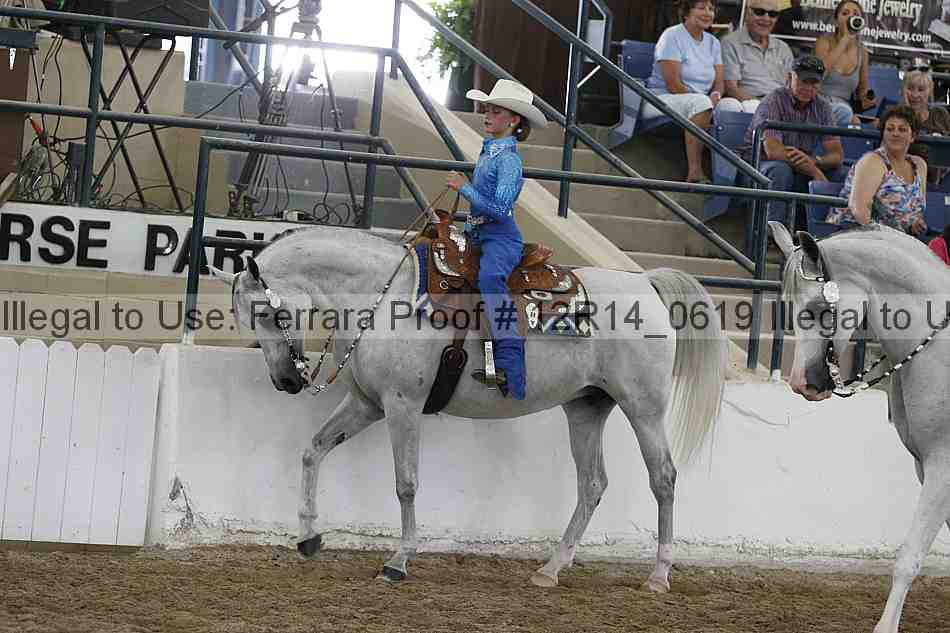 Proof Number 12r14_0619