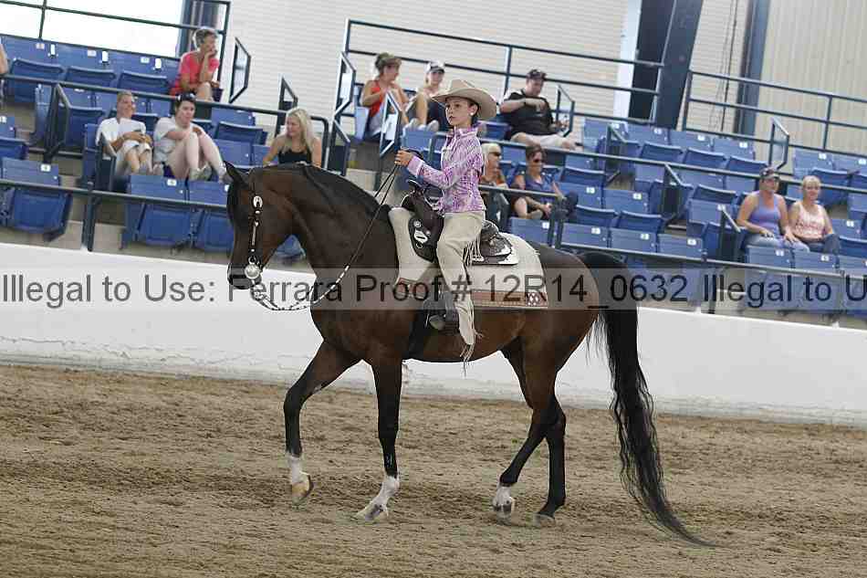Proof Number 12r14_0632