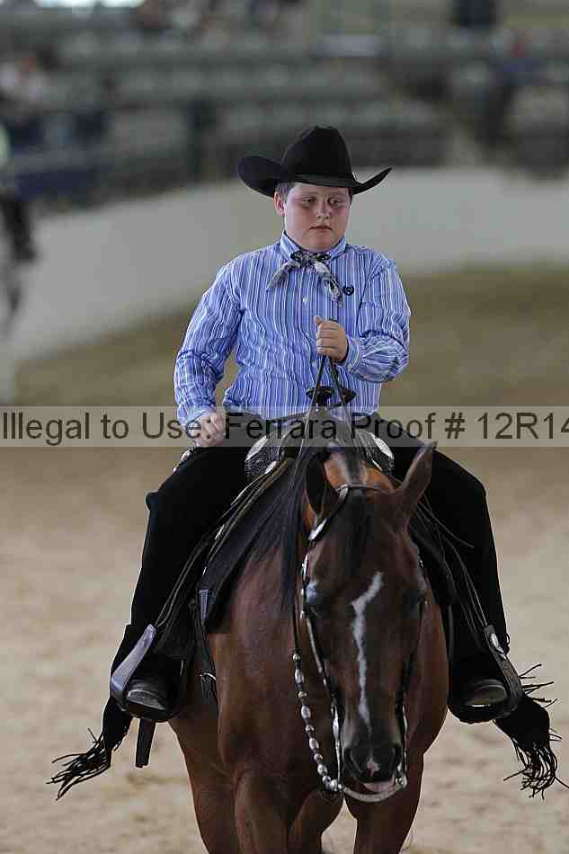 Proof Number 12r14_0646