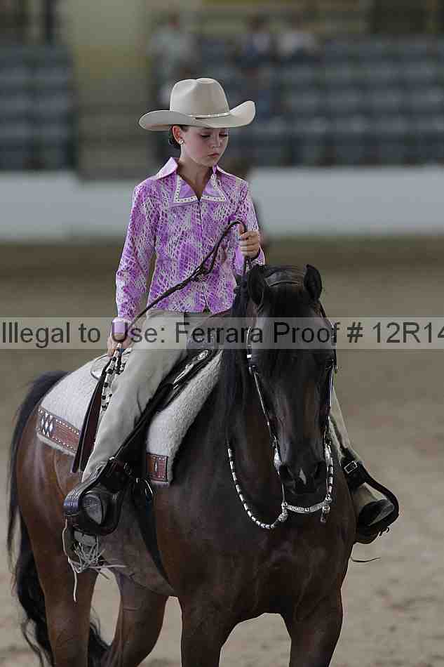Proof Number 12r14_0657