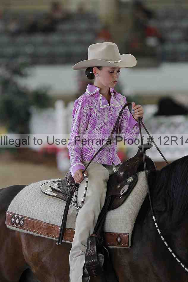 Proof Number 12r14_0658