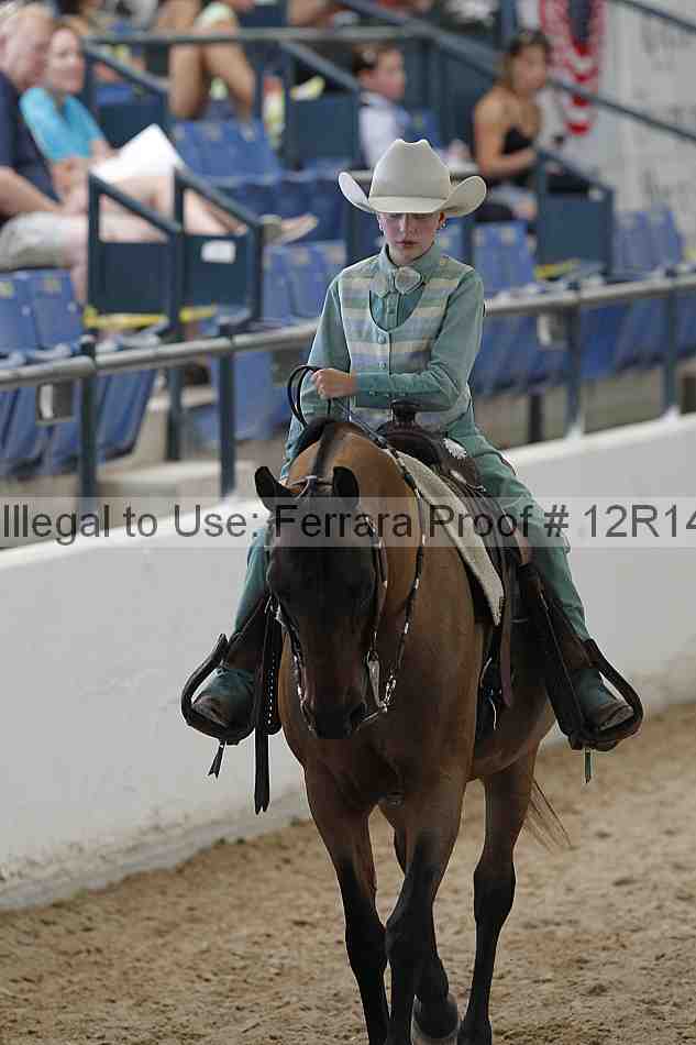 Proof Number 12r14_0661