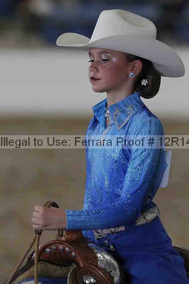 Proof Number 12r14_0665