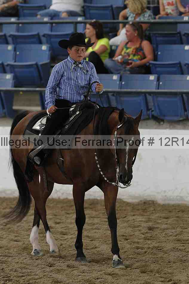 Proof Number 12r14_0667