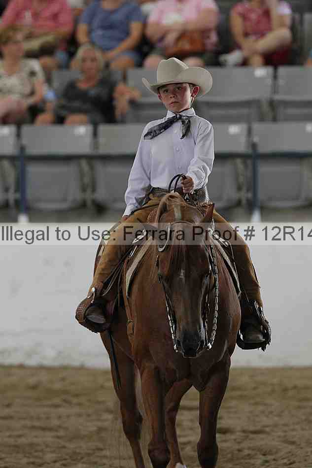 Proof Number 12r14_0678