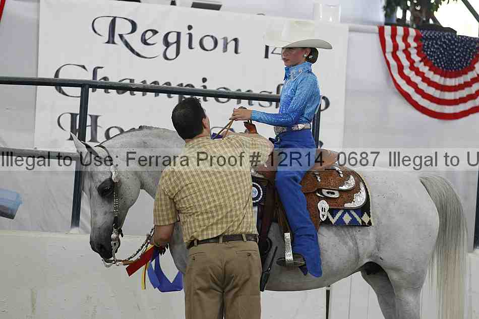 Proof Number 12r14_0687
