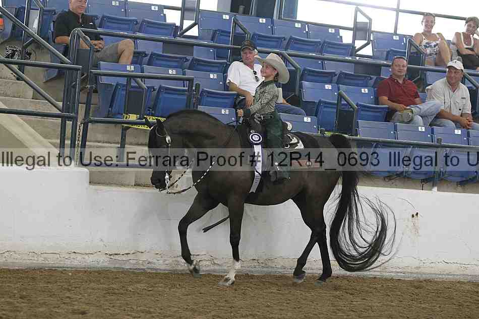 Proof Number 12r14_0693