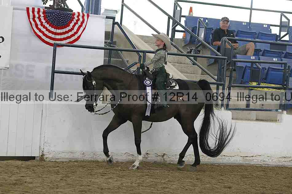 Proof Number 12r14_0694
