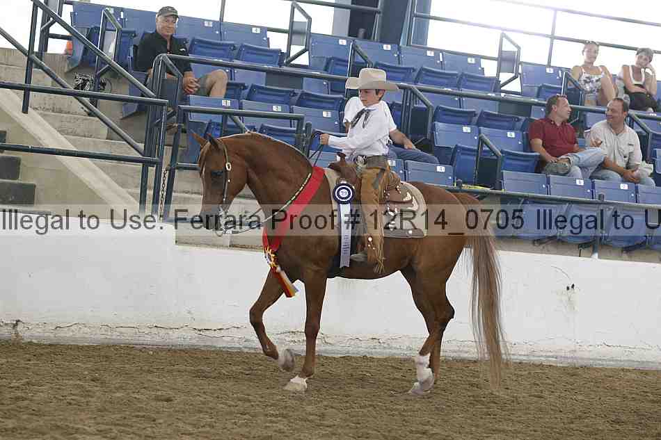 Proof Number 12r14_0705