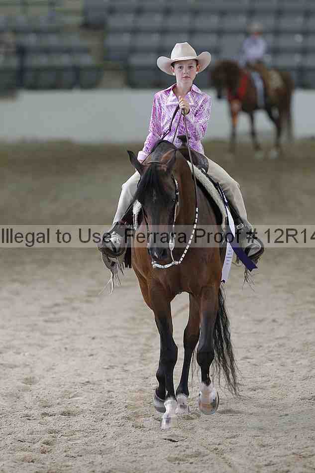 Proof Number 12r14_0707