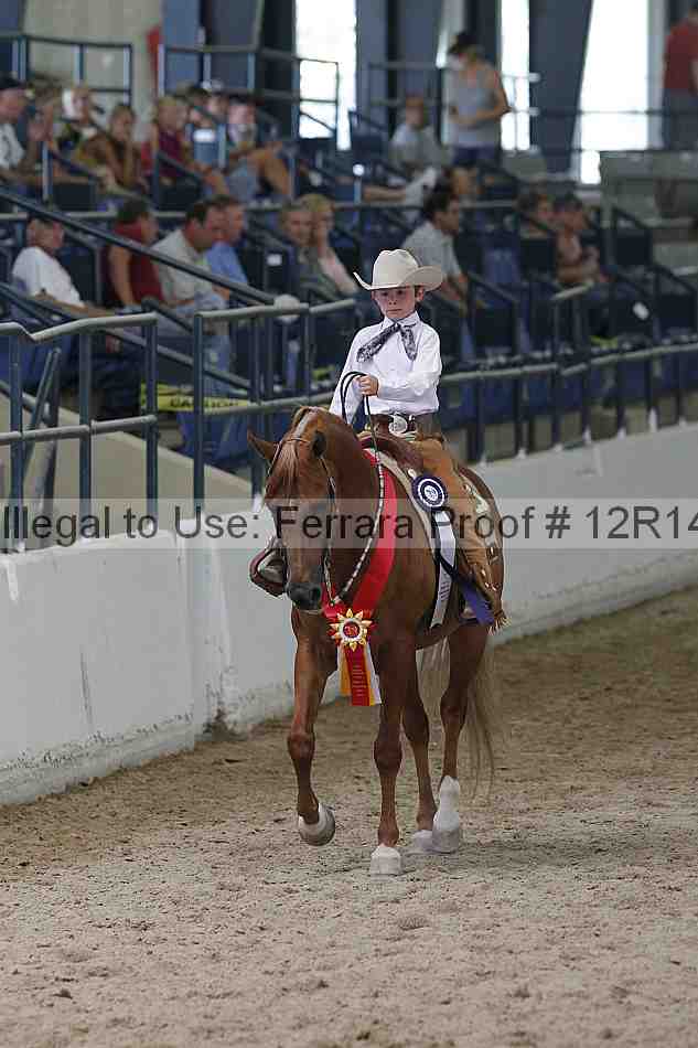 Proof Number 12r14_0716