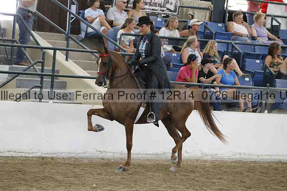 Proof Number 12r14_0726