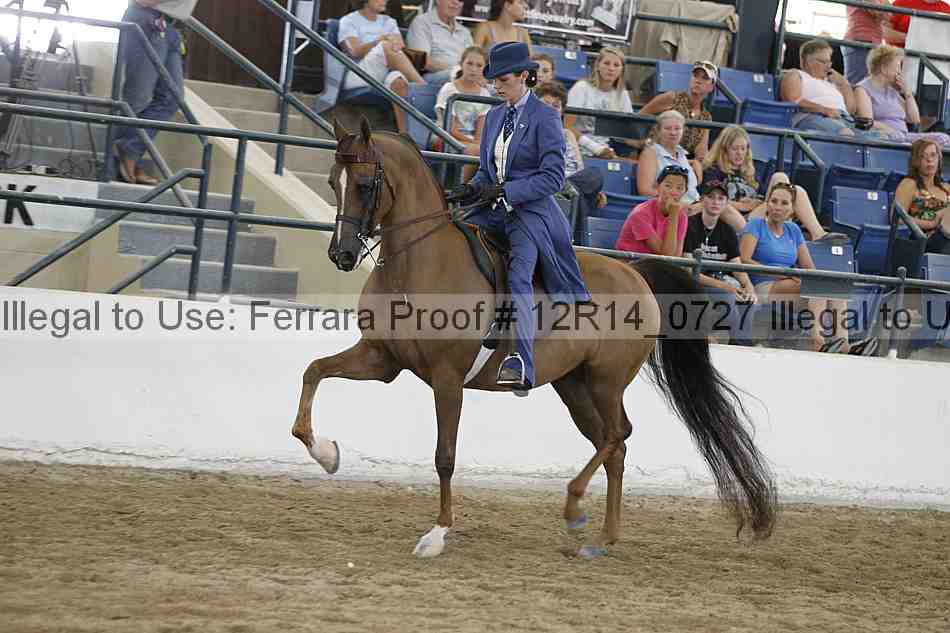 Proof Number 12r14_0727