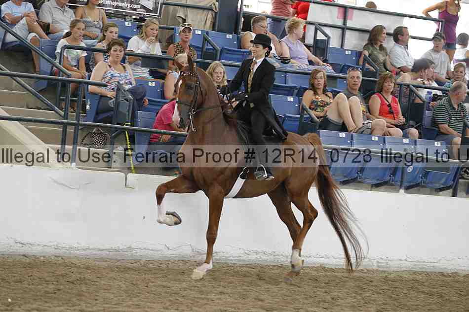 Proof Number 12r14_0728