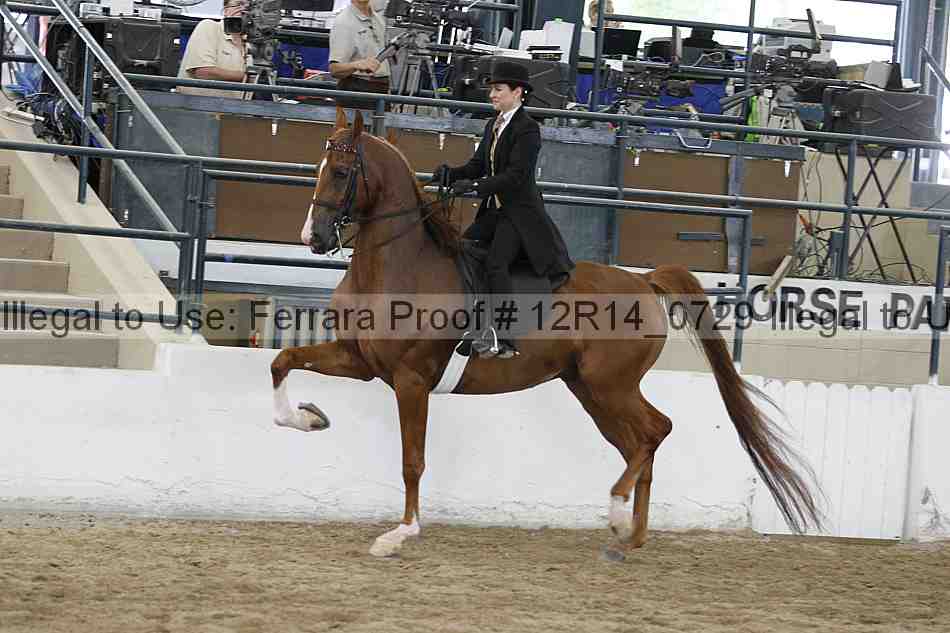 Proof Number 12r14_0729