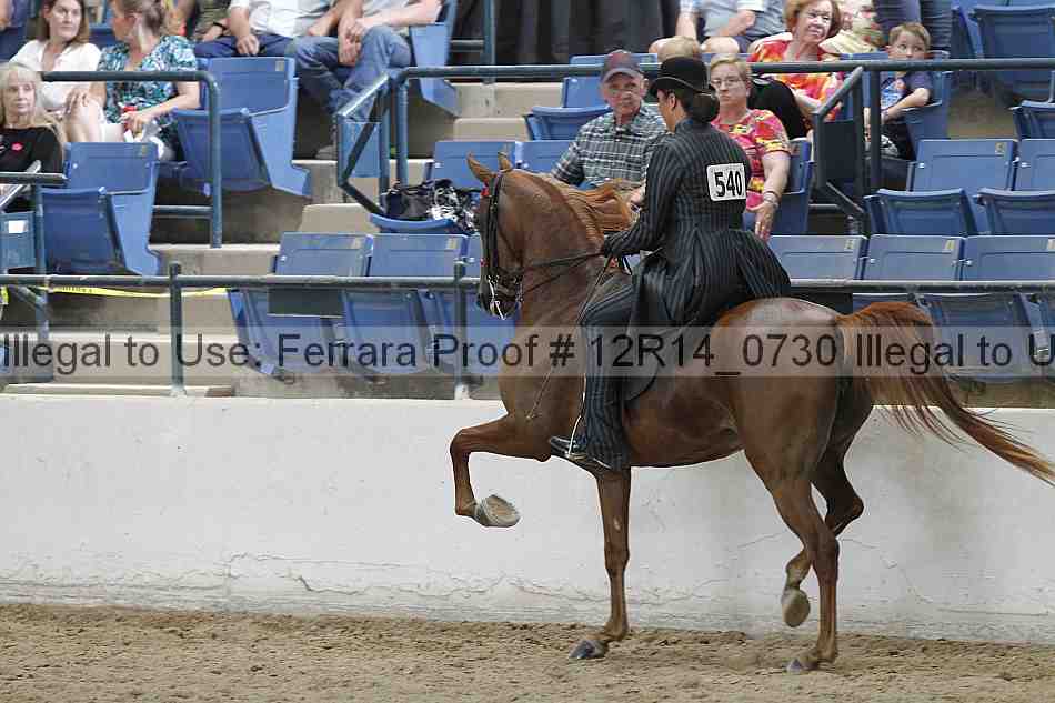 Proof Number 12r14_0730